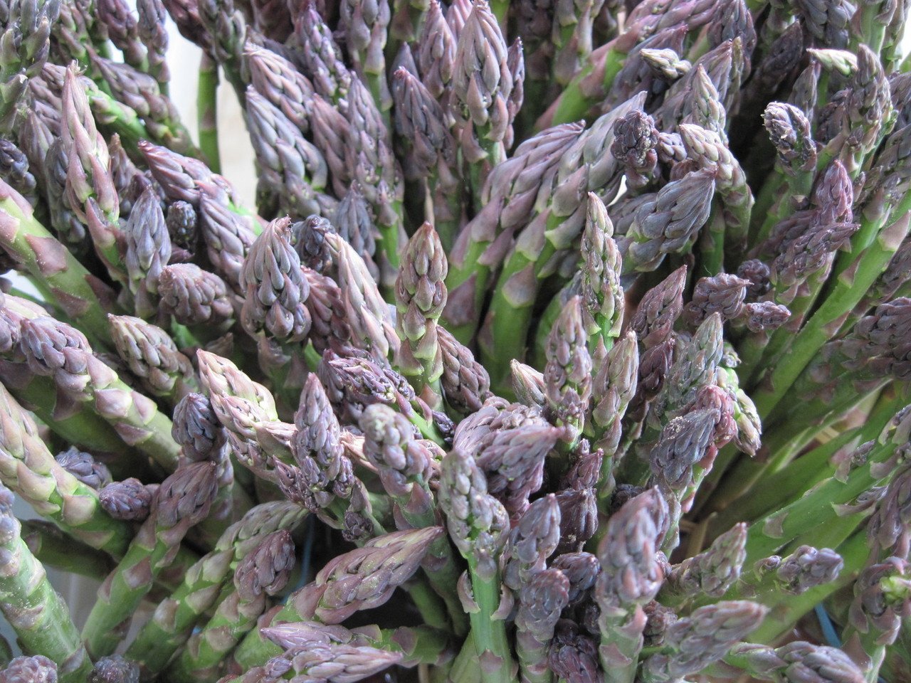 organic asparagus