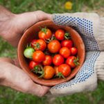 making organic food affordable