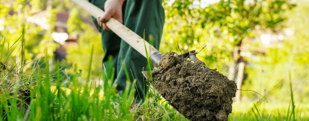image of shovel with soil.