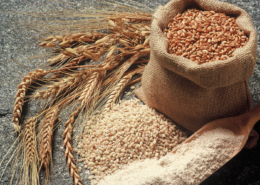 Spelt grain