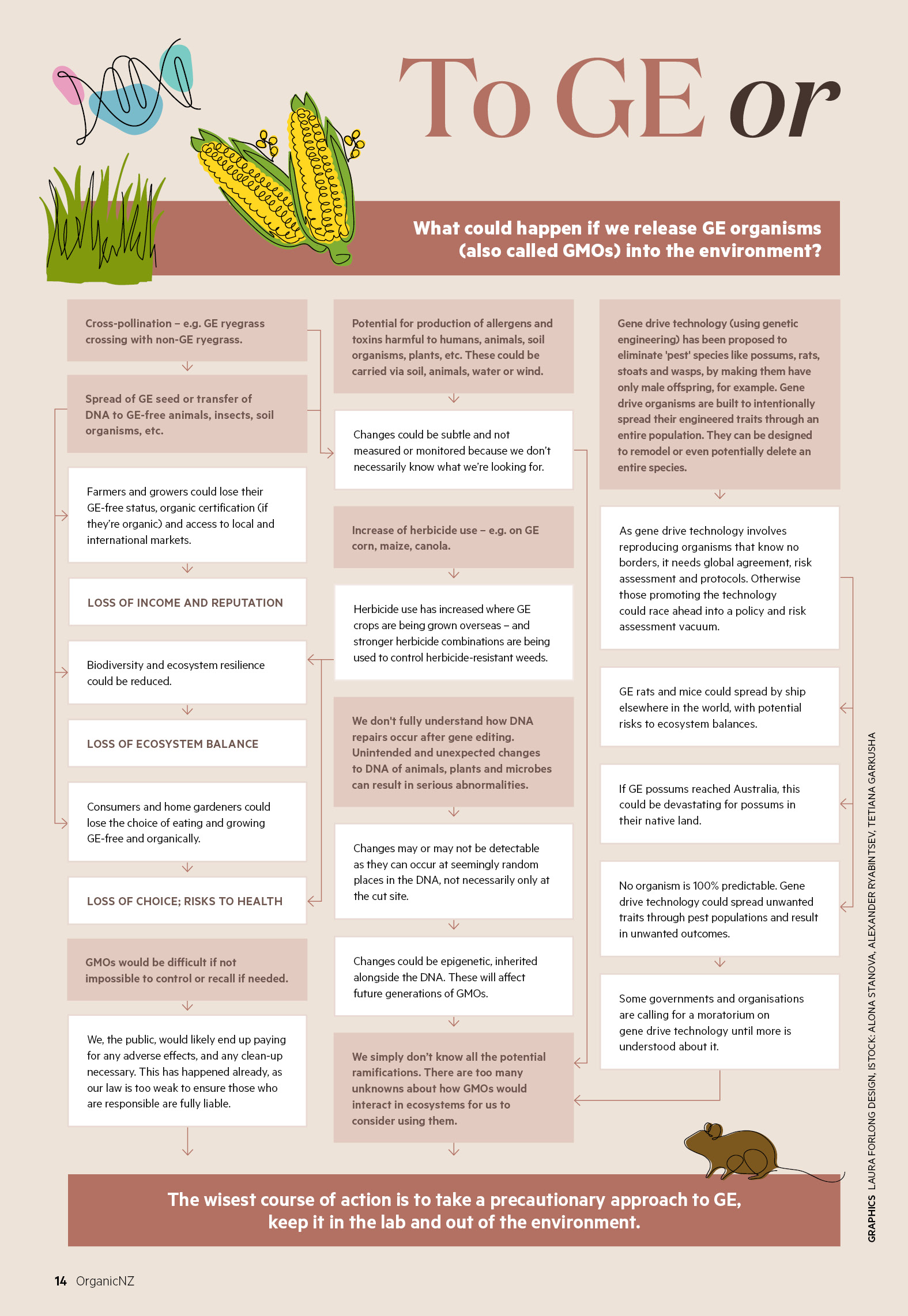 To GE or not to GE infographic side 1