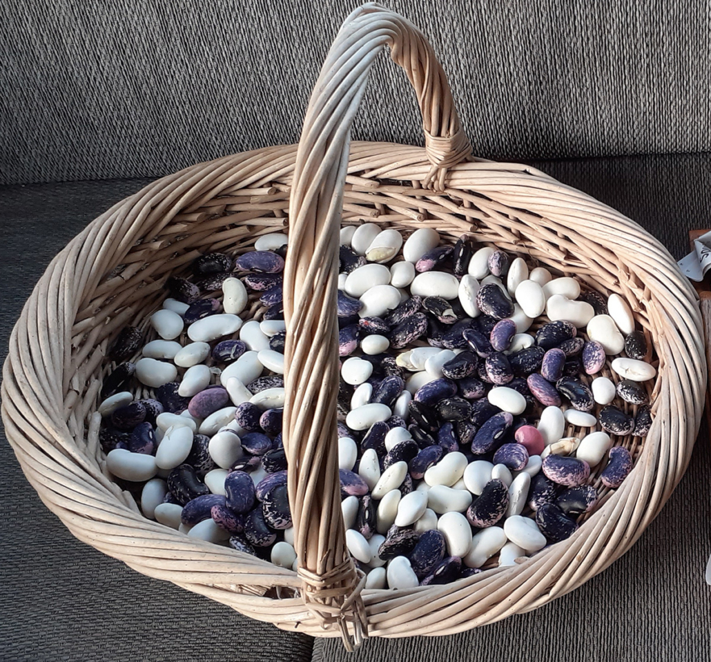 Basket of seeds