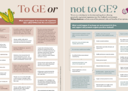 To GE or not to GE infographic header