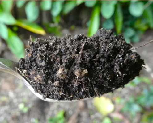 Teaspoon of Soil