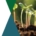SETAC Conference August 25 - 28 2025