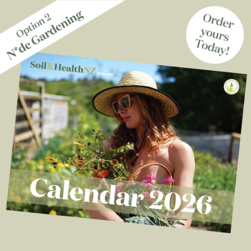 socials-buy-now-calendar-natural-cover