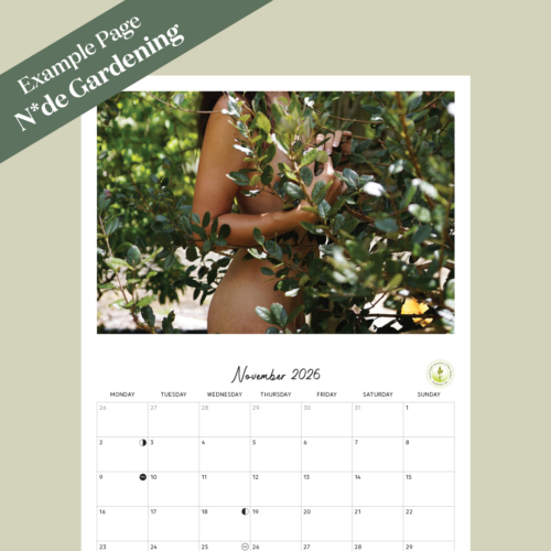socials-buy-now-calendar-natural-example1