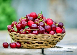 Basket of cherries