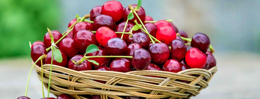 Basket of cherries