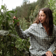 Seed saving with Monique