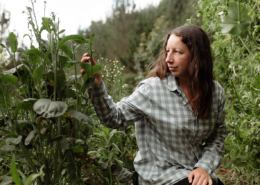 Seed saving with Monique