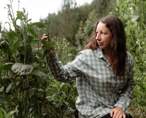 Seed saving with Monique