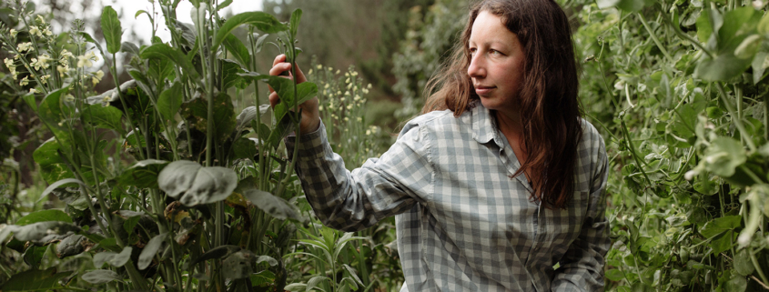Seed saving with Monique