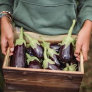 Box of aubergines (eggplants)
