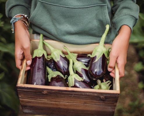 Box of aubergines (eggplants)