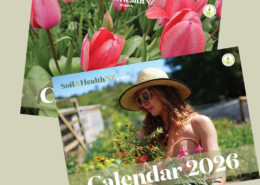2026 Example calendar covers
