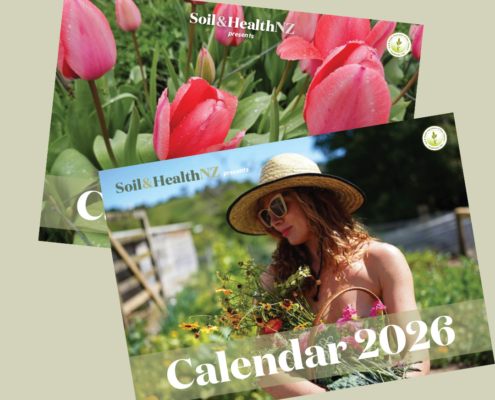 2026 Example calendar covers