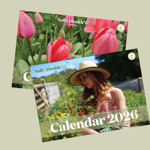 2026 Example calendar covers