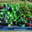 Hardening off seedlings in mid spring