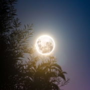 Full moon seen from Amberley, Canterbury, New Zealand