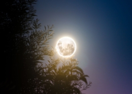 Full moon seen from Amberley, Canterbury, New Zealand