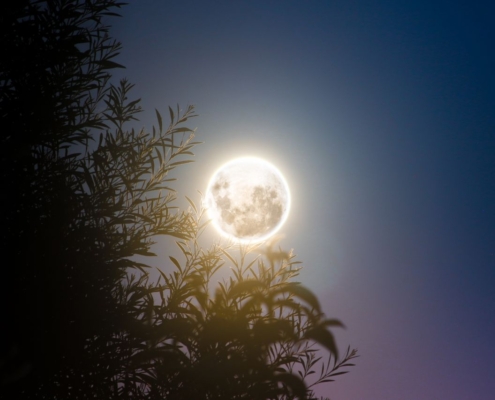 Full moon seen from Amberley, Canterbury, New Zealand