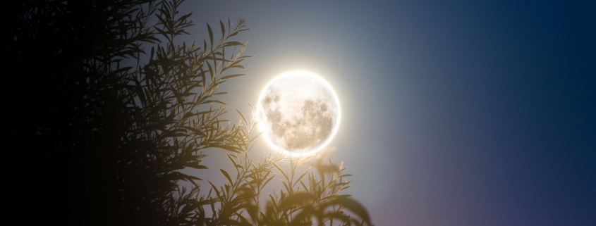 Full moon seen from Amberley, Canterbury, New Zealand