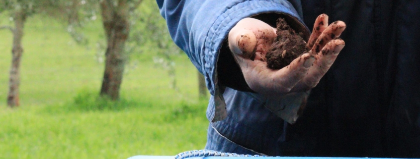 Ross Vintiner of Dali Olives holding a handful of Johnson-Su compost