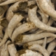 Pile of biodynamic cow horns